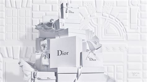 chistian dior stores|christian Dior official website.